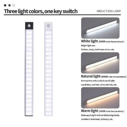 CENSHION USB-C Rechargeable LED Cabinet Light – Dimmable Motion Sensor Bar, 20–60cm